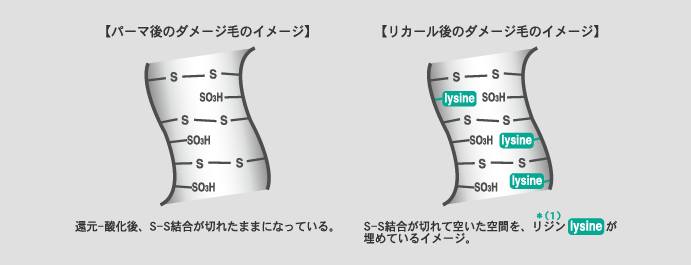 下関　トリートメントパーマ
