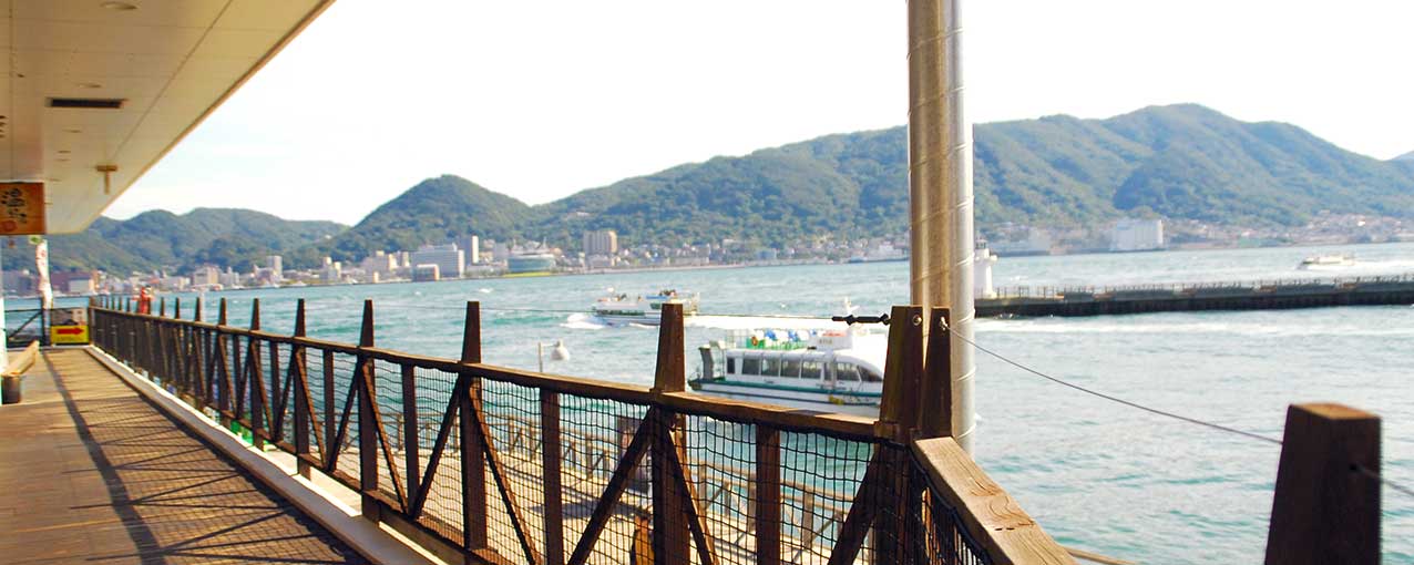 きれいスタイルは髪と地肌を健康に